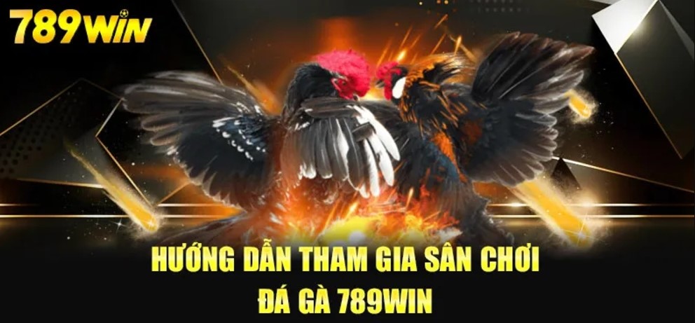 Cách chơi game đá gà 789Win đơn giản nhất