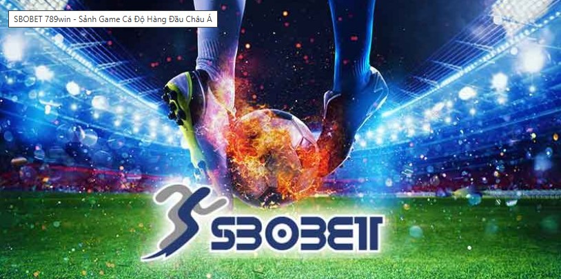 Hướng dẫn chơi sbobet tại sbobet sbobet dành cho người mới chơi